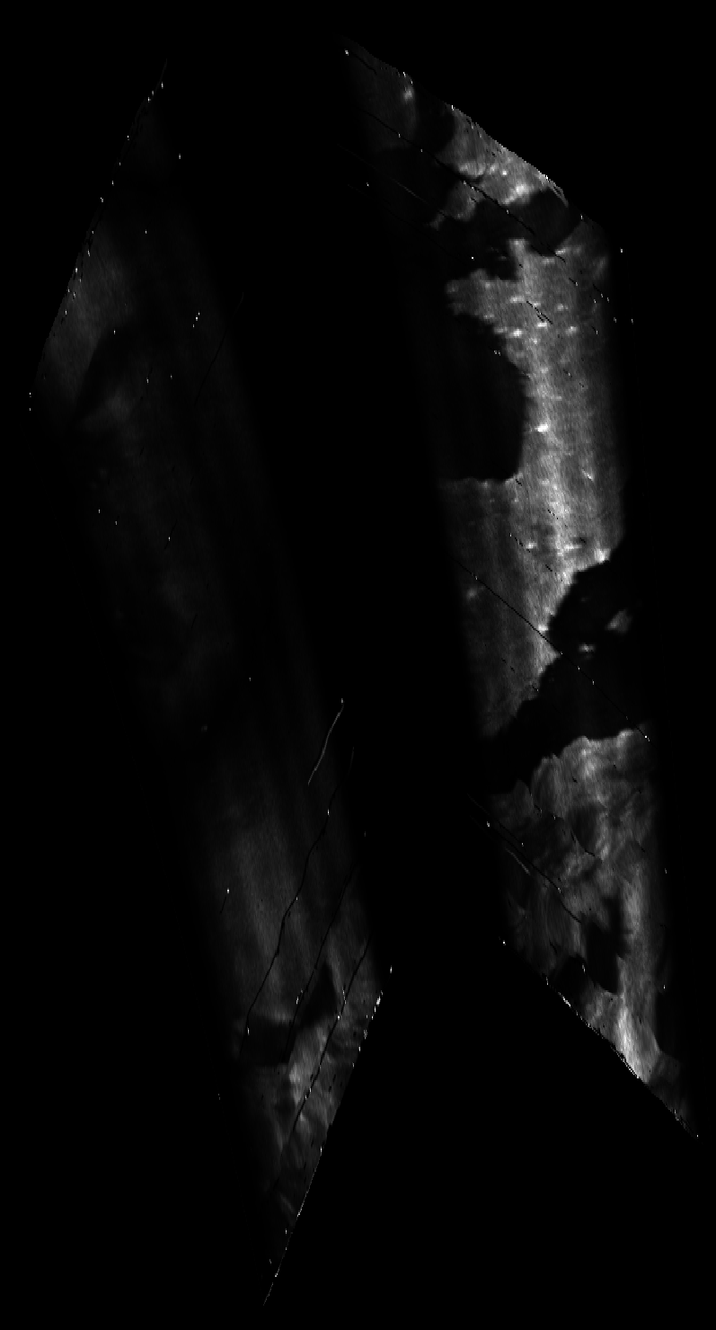 ascat_grayscale_proj_backward.png
